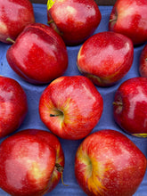 Load image into Gallery viewer, Send a Gift! Mixed Produce Boxes Delivered to a friend or family member! (WILL BE DELIVERED NEXT DELIVERY DAY)