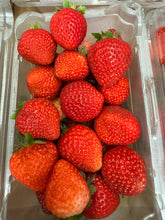 Load image into Gallery viewer, Mixed Produce Box Regular Size (Einstein Only) TUESDAY 12/2