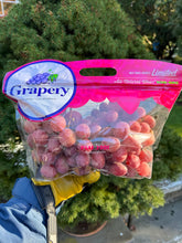 Load image into Gallery viewer, Mixed Produce Box Lower Westchester Week of 12/2/25 (Deliveries 12/2 & 12/3/25)