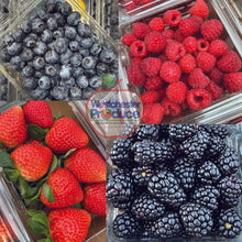 Load image into Gallery viewer, BERRY Box! (6 packs)