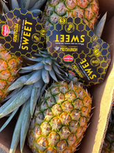 Load image into Gallery viewer, Send a Gift! Mixed Produce Boxes Delivered to a friend or family member! (WILL BE DELIVERED NEXT DELIVERY DAY)