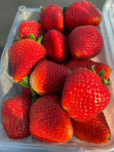 Load image into Gallery viewer, Mixed Produce Box ***Upper Westchester & Lower Connecticut*** - MONDAY 11/17/25