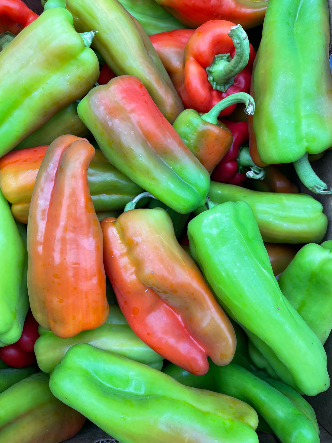8/29/23 Mixed Produce Box List