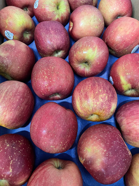 Mixed Produce Box 9/12/23