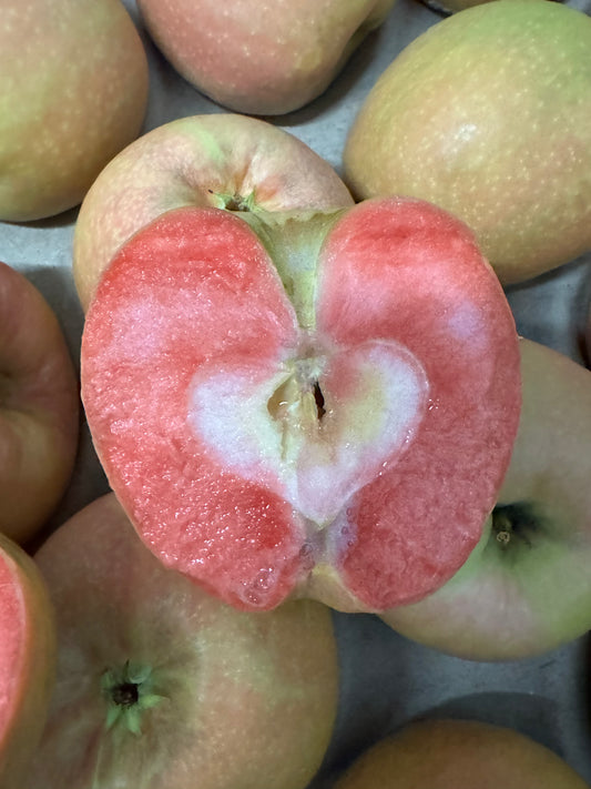 Lucy Glo Apples Pack of 4 (Red Flesh) (ADD EXTRA to your Produce Box)