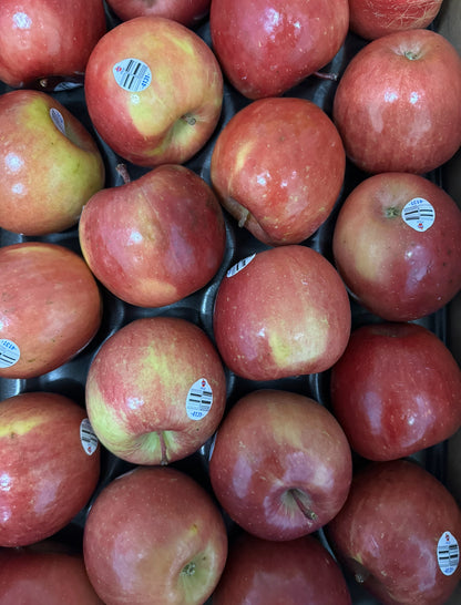 Regular All Fruit Produce Box (3-4 People) (BOCES Only)