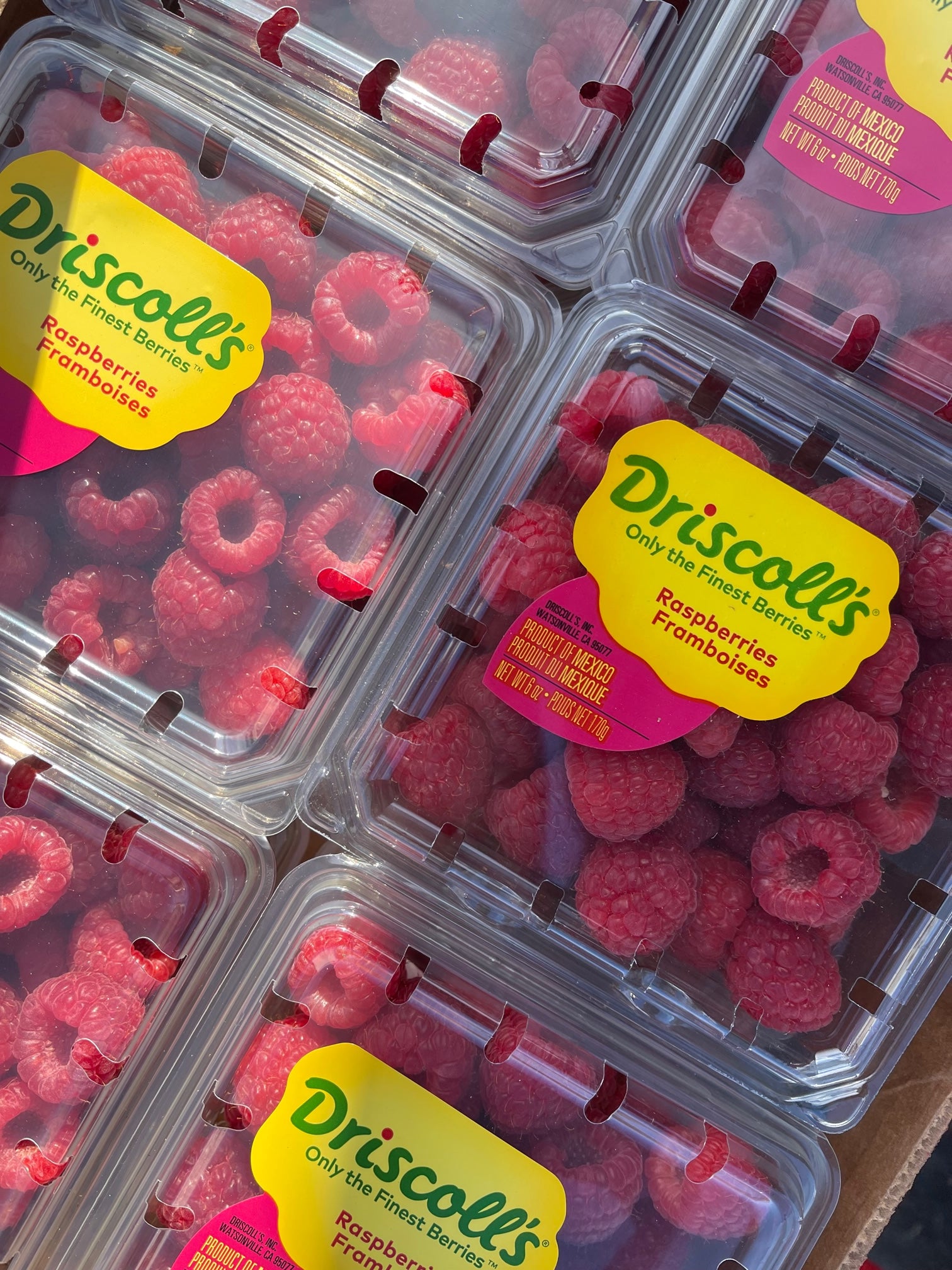 Extra pack of BERRIES (Add on ONLY) – Westchester Produce