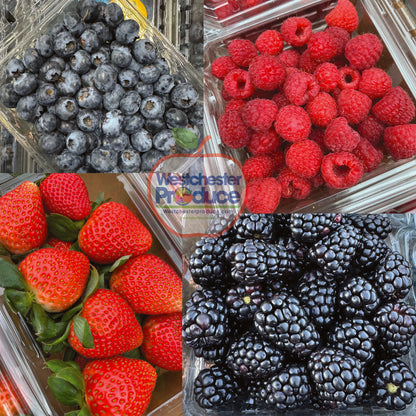 BERRY Box! (6 packs) [Delivery 4/8/26]