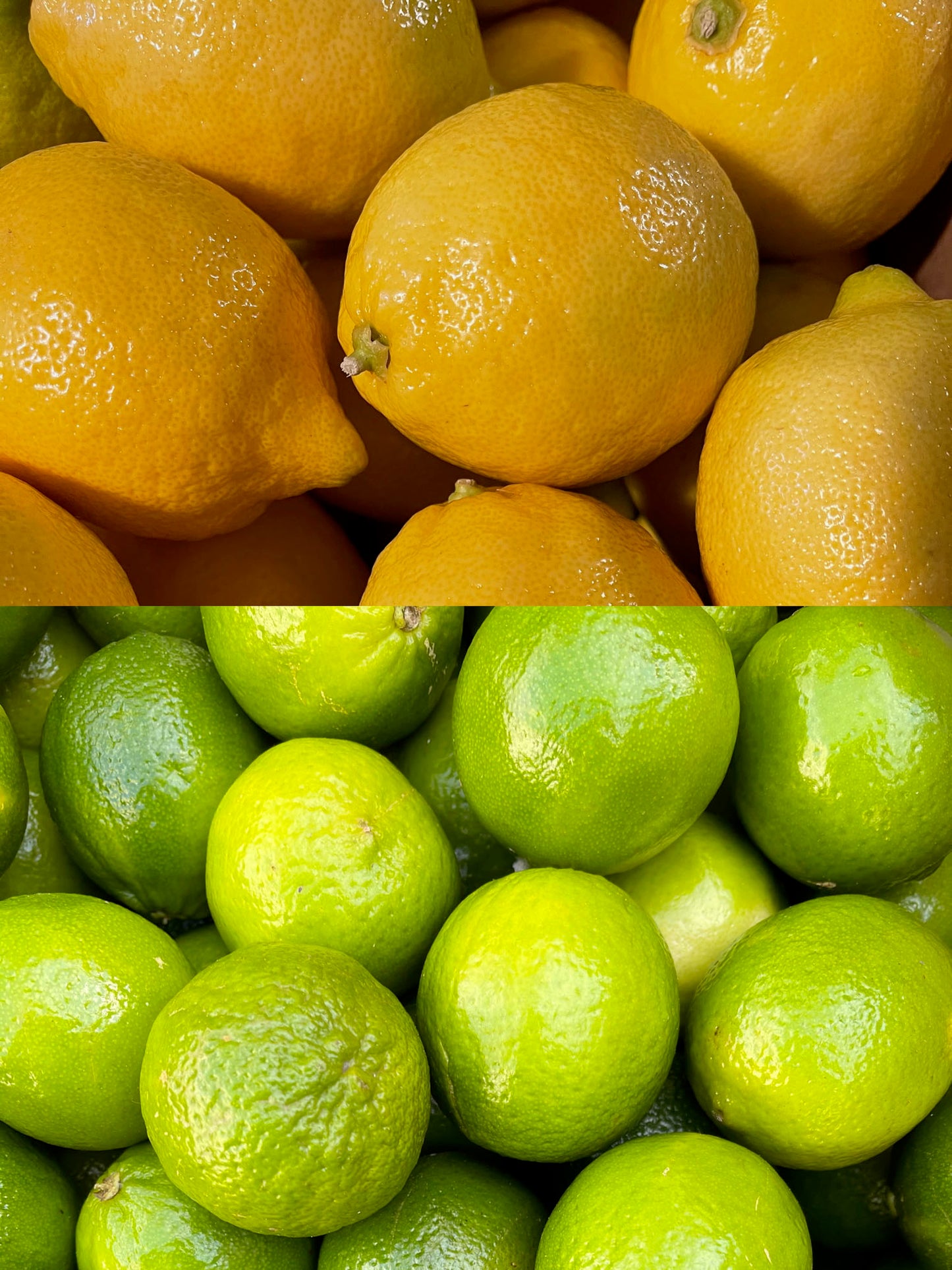 LEMONS & LIMES [ADD ON ITEM]