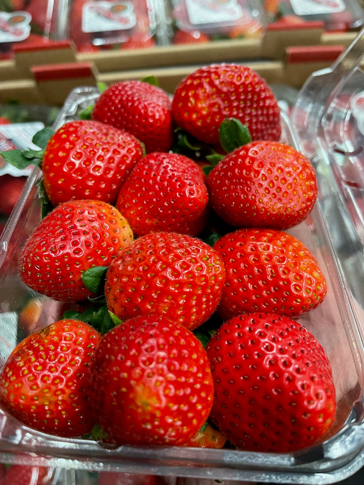 Extra pack of BERRIES (Add on ONLY) – Westchester Produce