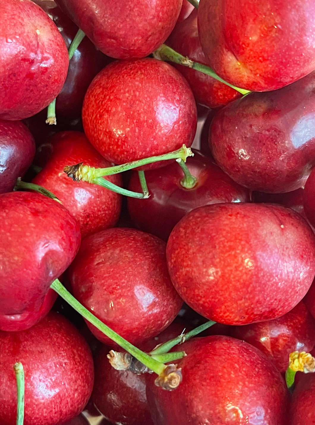 Cherries (2lb bag) [ADD ON ONLY]