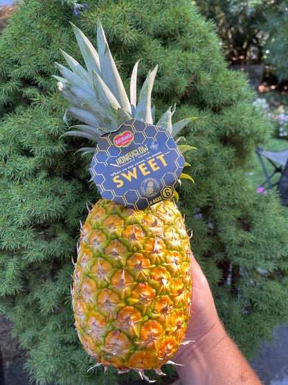 Mixed Produce Box- Lower Westchester (Week of 2/24/26)