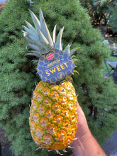 Load image into Gallery viewer, Mixed Produce Box Small Size (Einstein Only) [MONDAY 3/31/25]
